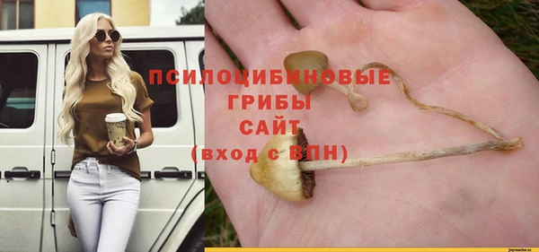 спайс Алексеевка