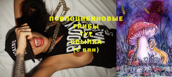 ешки Сафоново