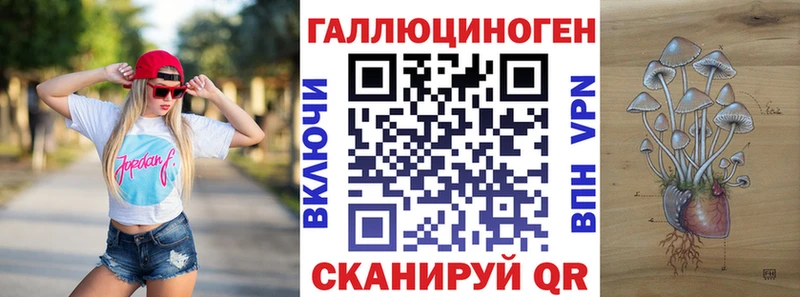Псилоцибиновые грибы Cubensis  Луга 