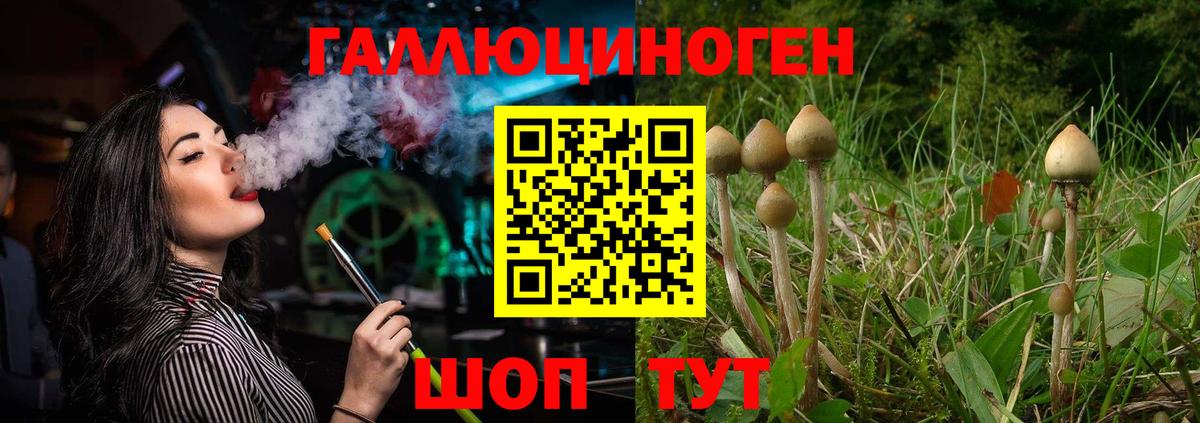 Луга  Галлюциногенные грибы ЛСД  даркнет сайт  Вход с VPN 